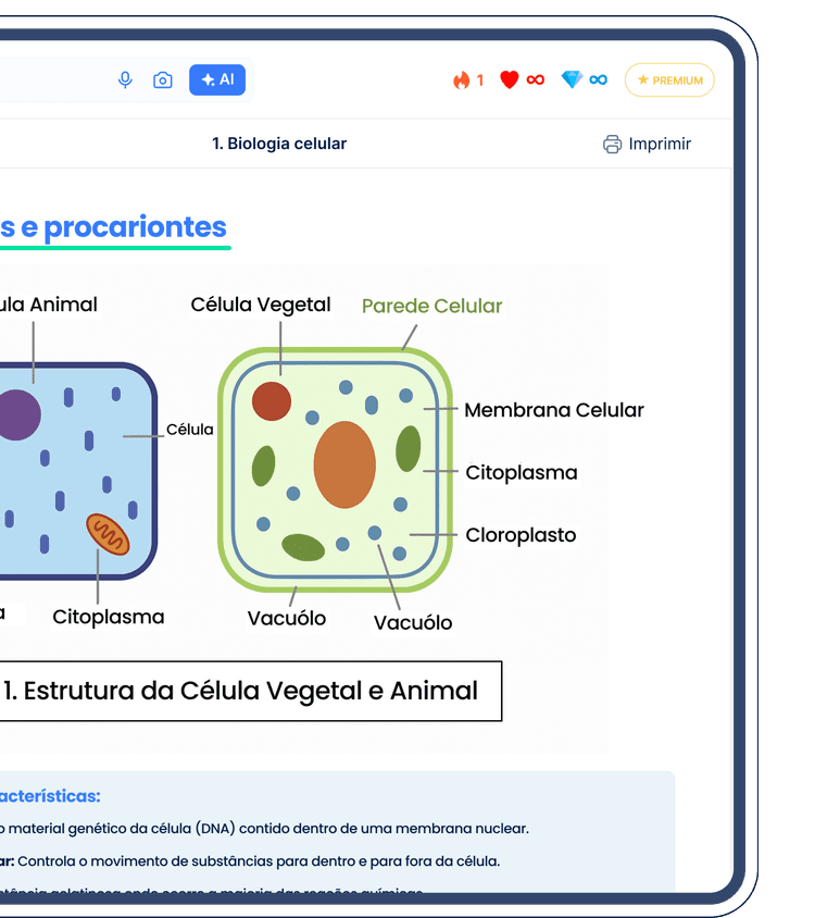 Flashcard Section